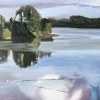 estero_el_dique_con_cisne
