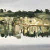 reflejo-estero-del-dique