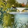 finsbury-duckpond1
